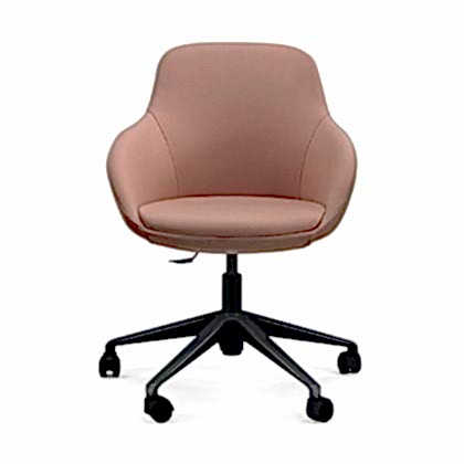 anna meeting chair
