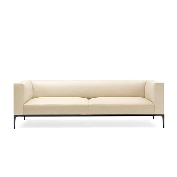 Modern sofa on legs