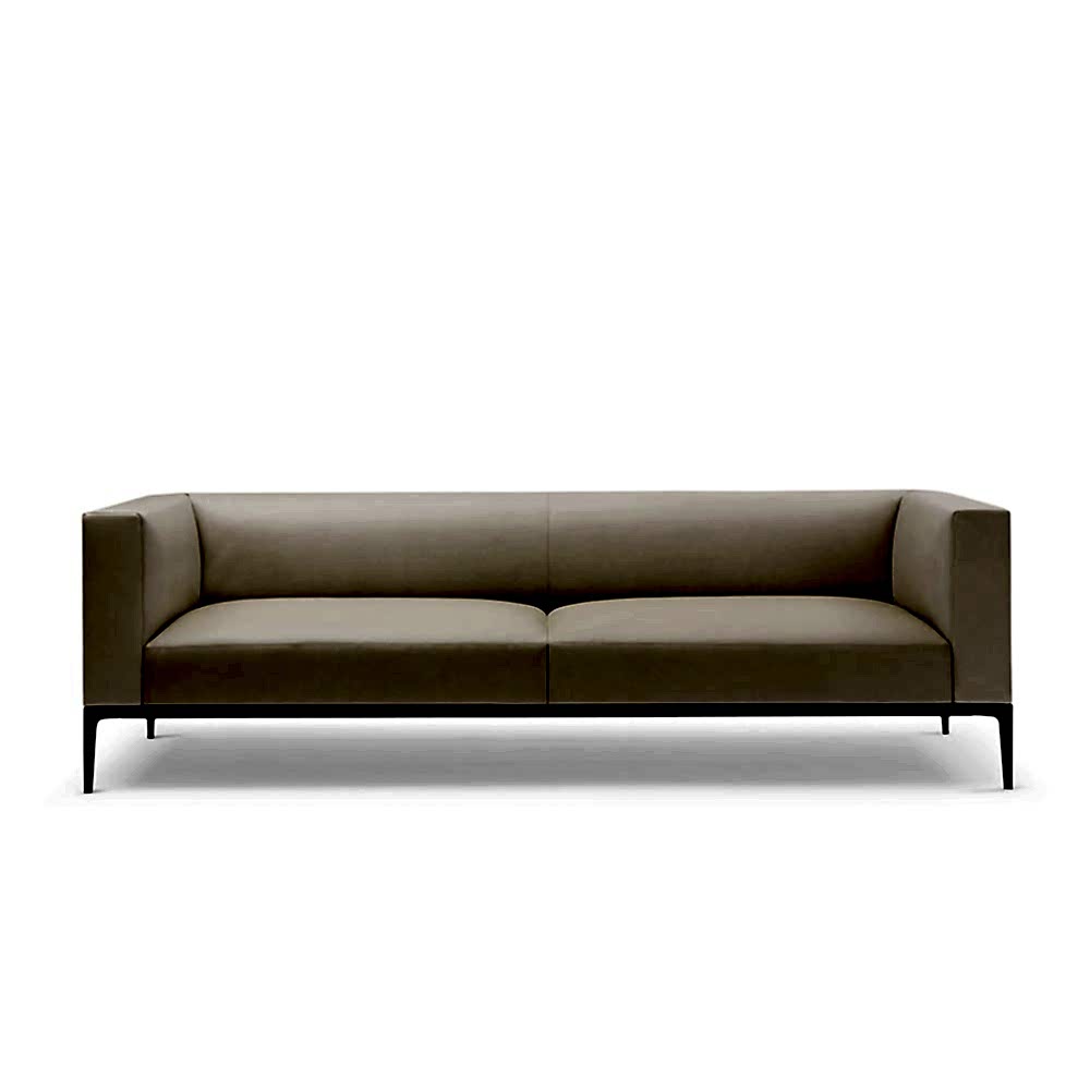 Modern sofa on legs