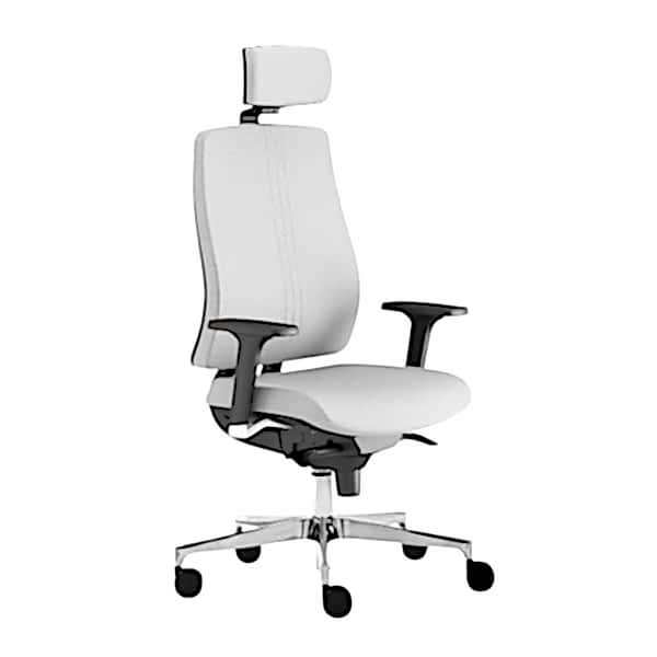 The chair offers lumbar support with its contoured mesh back design.
