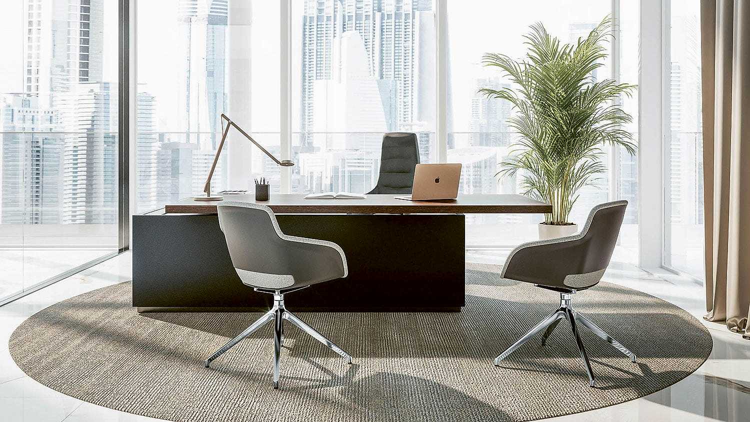 Luxury CEO Office