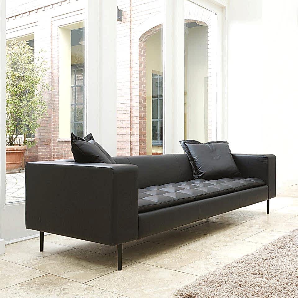 hallmark of timeless beauty sofa