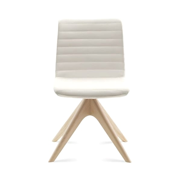 Minimalist chair with natural wood base