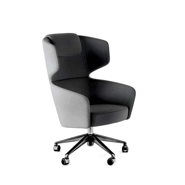 The contemporary seating chair adds a touch of class
